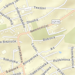 Aš Street Map
