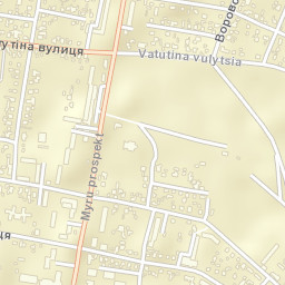 Shepetivka Street Map