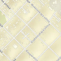 Zavitinsk Street Map