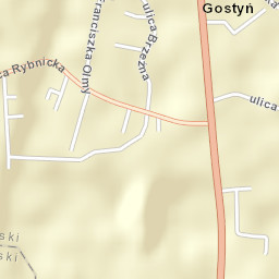 Gostyń Street Map