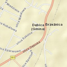 Brzeźnica Street Map