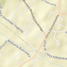 Niedobczyce Street Map