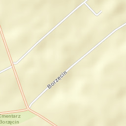 Borzęcin Street Map