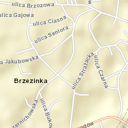 Brzezinka Street Map