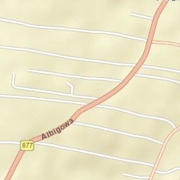 Albigowa Street Map