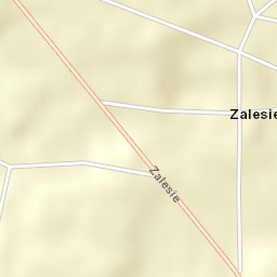 Zalesie Street Map