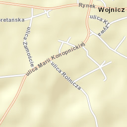 Wojnicz Street Map