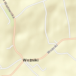 Woźniki Street Map