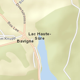 Bavigne Street Map