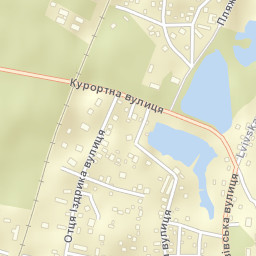 Bryukhovychi Street Map
