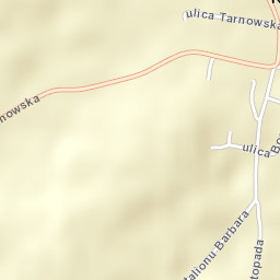 Ryglice Street Map