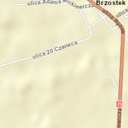 Brzostek Street Map