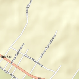 Dubiecko Street Map