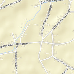 Vasyshcheve Street Map