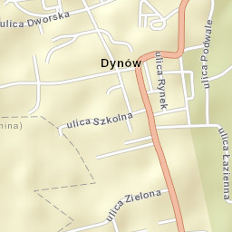Dynów Street Map