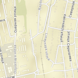 Raychikhinsk Street Map