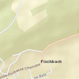 Fischbach Street Map