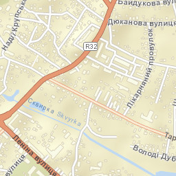 Skvyra Street Map