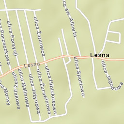 Leśna Street Map
