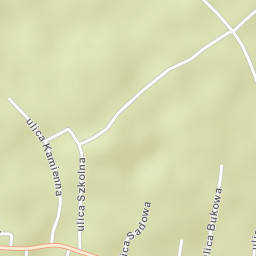 Radziechowy Street Map