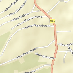 Krzyżowa Street Map