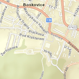 Boskovice Street Map