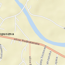Łopuszna Street Map