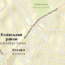 Kozova Street Map