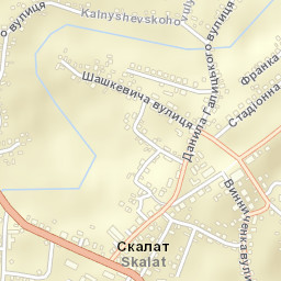 Skalat Street Map