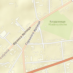 Letychiv Street Map