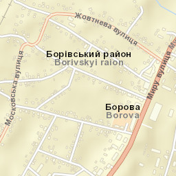 Borova Street Map