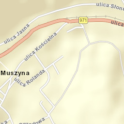 Muszyna Street Map