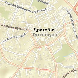 Drohobych Street Map