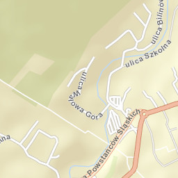 Zakopane Street Map