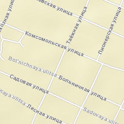 Litovko Street Map