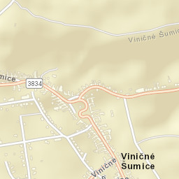 Viničné Šumice Street Map