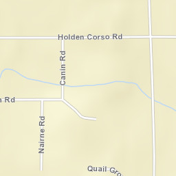 Cedar Street Map