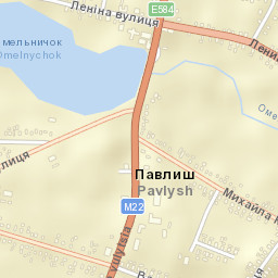 Pavlysh Street Map