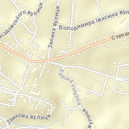 Borshchiv Street Map