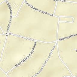 Petrykivka Street Map