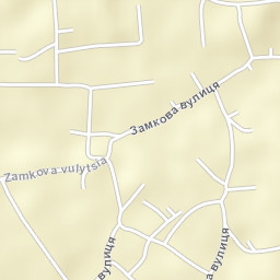 Solotvyn Street Map