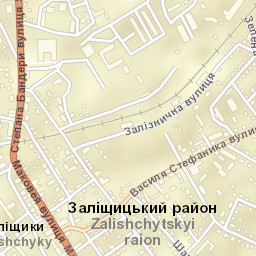 Zalishchyky Street Map