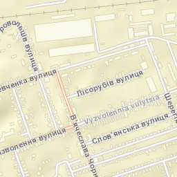 Svalyava Street Map