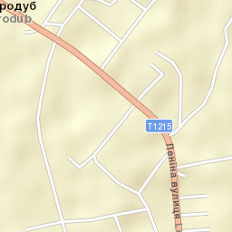 Novyy Starodub Street Map