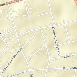 Krynychky Street Map