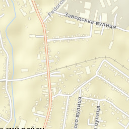 Irshava Street Map