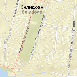 Selydove Street Map