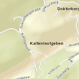 Kaltenleutgeben Street Map