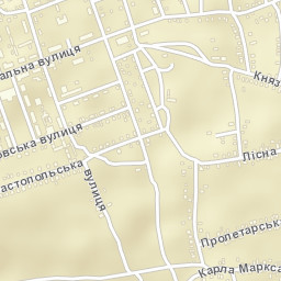 Nyzhnya Krynka Street Map