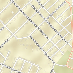 Chystyakove Street Map